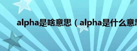 alpha是啥意思（alpha是什么意思）