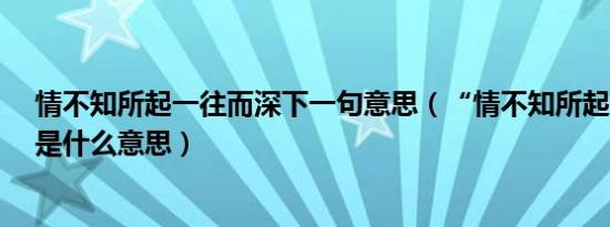 情不知所起一往而深下一句意思（“情不知所起一往而深”是什么意思）