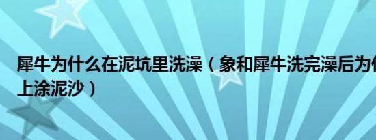 犀牛为什么在泥坑里洗澡（象和犀牛洗完澡后为什么要往身上涂泥沙）