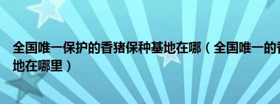 全国唯一保护的香猪保种基地在哪（全国唯一的香猪保种基地在哪里）