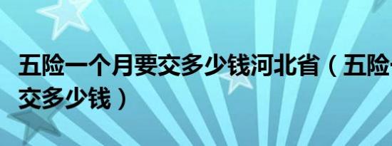 五险一个月要交多少钱河北省（五险一个月要交多少钱）