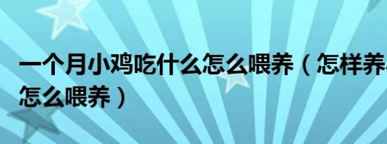 一个月小鸡吃什么怎么喂养（怎样养小鸡小鸡怎么喂养）