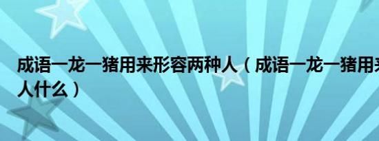 成语一龙一猪用来形容两种人（成语一龙一猪用来比喻两个人什么）