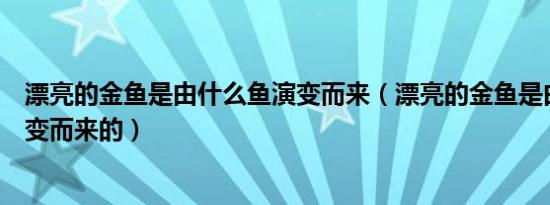 漂亮的金鱼是由什么鱼演变而来（漂亮的金鱼是由什么鱼演变而来的）