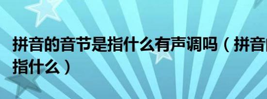 拼音的音节是指什么有声调吗（拼音的音节是指什么）