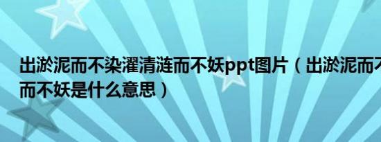 出淤泥而不染濯清涟而不妖ppt图片（出淤泥而不染濯清涟而不妖是什么意思）