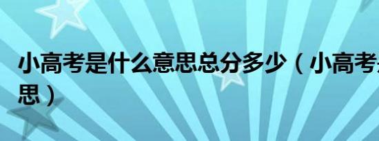 小高考是什么意思总分多少（小高考是什么意思）