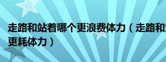 走路和站着哪个更浪费体力（走路和站着哪个更耗体力）