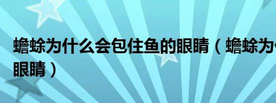 蟾蜍为什么会包住鱼的眼睛（蟾蜍为什么扣鱼眼睛）