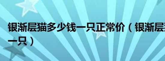 银渐层猫多少钱一只正常价（银渐层猫多少钱一只）