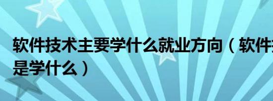 软件技术主要学什么就业方向（软件技术主要是学什么）