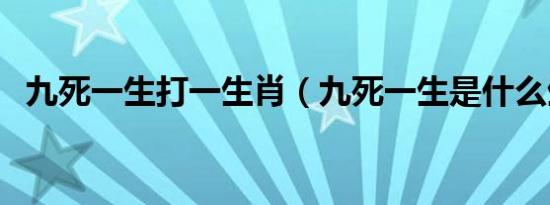 九死一生打一生肖（九死一生是什么生肖）