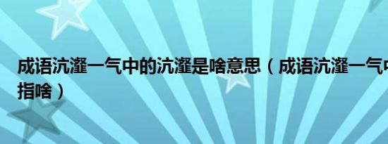 成语沆瀣一气中的沆瀣是啥意思（成语沆瀣一气中的沆瀣是指啥）