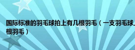 国际标准的羽毛球拍上有几根羽毛（一支羽毛球上通常有几根羽毛）