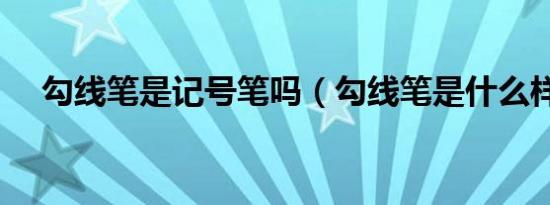 勾线笔是记号笔吗（勾线笔是什么样子）