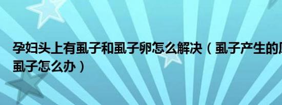 孕妇头上有虱子和虱子卵怎么解决（虱子产生的原因头上长虱子怎么办）