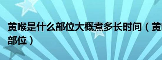 黄喉是什么部位大概煮多长时间（黄喉是什么部位）