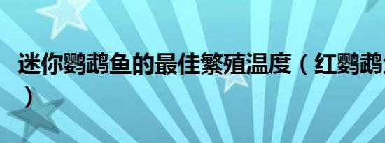 迷你鹦鹉鱼的最佳繁殖温度（红鹦鹉鱼怎么养）