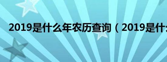 2019是什么年农历查询（2019是什么年）