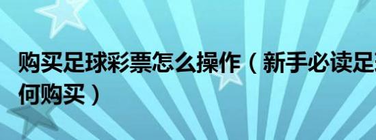 购买足球彩票怎么操作（新手必读足球彩票如何购买）