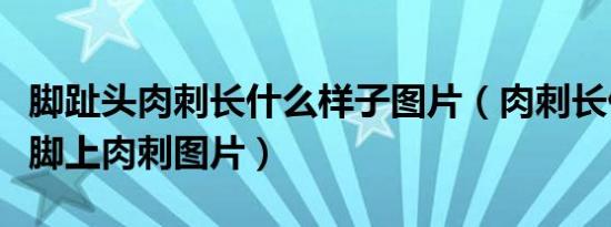 脚趾头肉刺长什么样子图片（肉刺长什么样子脚上肉刺图片）