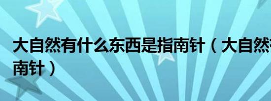 大自然有什么东西是指南针（大自然有什么指南针）