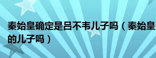 秦始皇确定是吕不韦儿子吗（秦始皇是吕不韦的儿子吗）