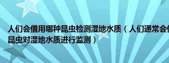 人们会借用哪种昆虫检测湿地水质（人们通常会借助于哪种昆虫对湿地水质进行监测）