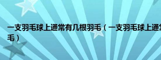 一支羽毛球上通常有几根羽毛（一支羽毛球上通常有几根羽毛）