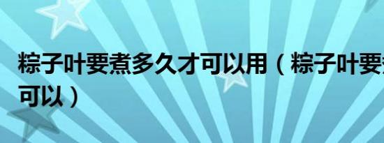 粽子叶要煮多久才可以用（粽子叶要煮多久才可以）