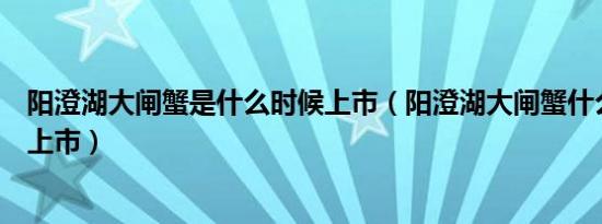 阳澄湖大闸蟹是什么时候上市（阳澄湖大闸蟹什么时候开湖上市）