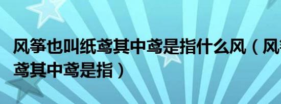 风筝也叫纸鸢其中鸢是指什么风（风筝也叫纸鸢其中鸢是指）