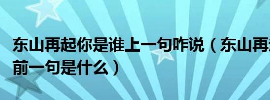 东山再起你是谁上一句咋说（东山再起你是谁前一句是什么）