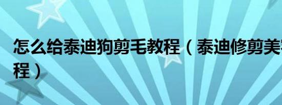 怎么给泰迪狗剪毛教程（泰迪修剪美容剪毛教程）