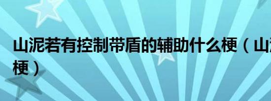 山泥若有控制带盾的辅助什么梗（山泥若什么梗）