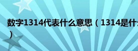 数字1314代表什么意思（1314是什么意思啊）