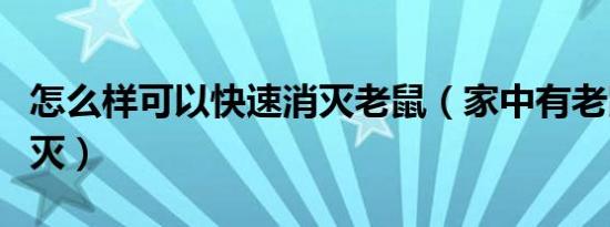 怎么样可以快速消灭老鼠（家中有老鼠怎么消灭）