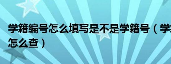 学籍编号怎么填写是不是学籍号（学籍号需要怎么查）