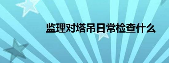 监理对塔吊日常检查什么