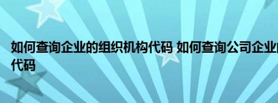 如何查询企业的组织机构代码 如何查询公司企业的组织机构代码 