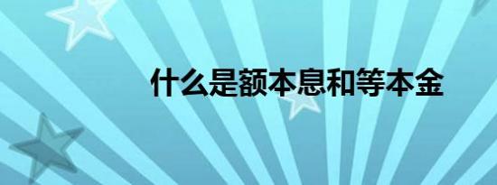 什么是额本息和等本金