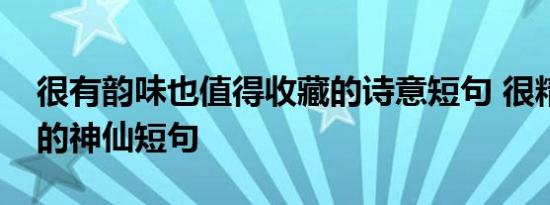 很有韵味也值得收藏的诗意短句 很精辟文艺的神仙短句