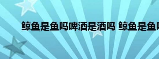 鲸鱼是鱼吗啤酒是酒吗 鲸鱼是鱼吗 