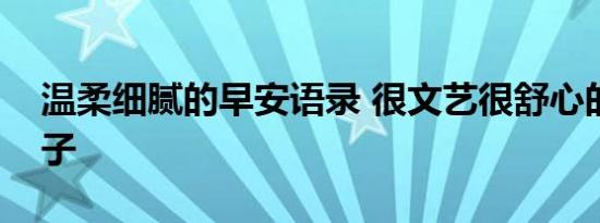 温柔细腻的早安语录 很文艺很舒心的早安句子