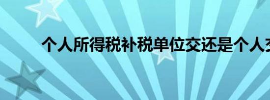 个人所得税补税单位交还是个人交