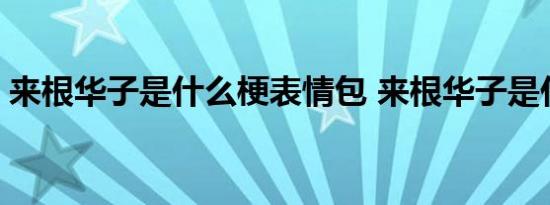 来根华子是什么梗表情包 来根华子是什么梗 