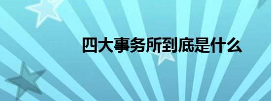 四大事务所到底是什么