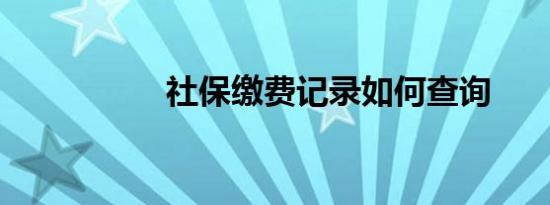 社保缴费记录如何查询