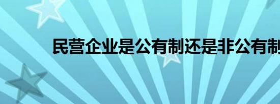 民营企业是公有制还是非公有制