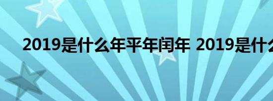 2019是什么年平年闰年 2019是什么年 